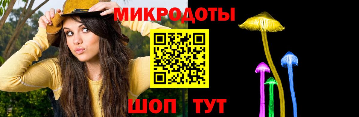 Галлюциногенные грибы Psilocybine cubensis Королёв