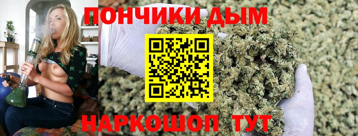 Королёв  Конопля Bruce Banner  Каннабис марихуана  Бошки Шишки конопля  Вход с VPN 